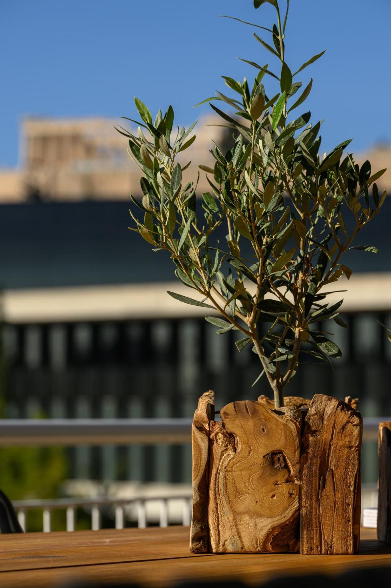 Acropolis View Deluxe Penthouse & Luxury Apartments Athen Zimmer foto